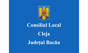 Sedintele Consiliului Local 2021